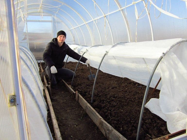 Описание подснежника &mdash; белоснежного символа весны