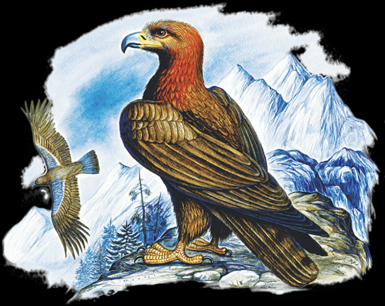 «Орел-меценат» — краткое содержание сказки М.Е. Салтыкова-Щедрина