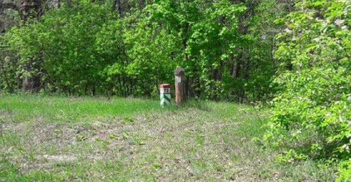 Ориентирование по местным признакам – какие помогают ориентироваться, природные способы (5 класс)