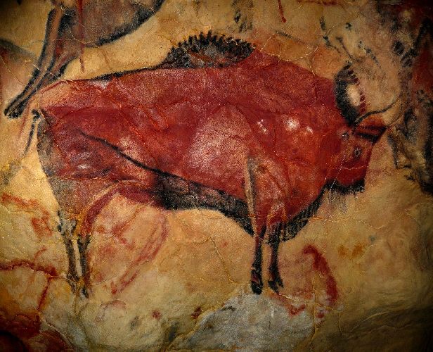 Орудия труда кроманьонцев – названия и описания (история, 5 класс)