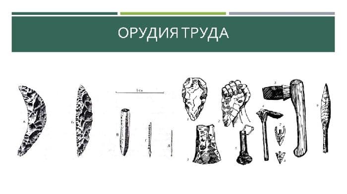 Орудия труда кроманьонцев – названия и описания (история, 5 класс)