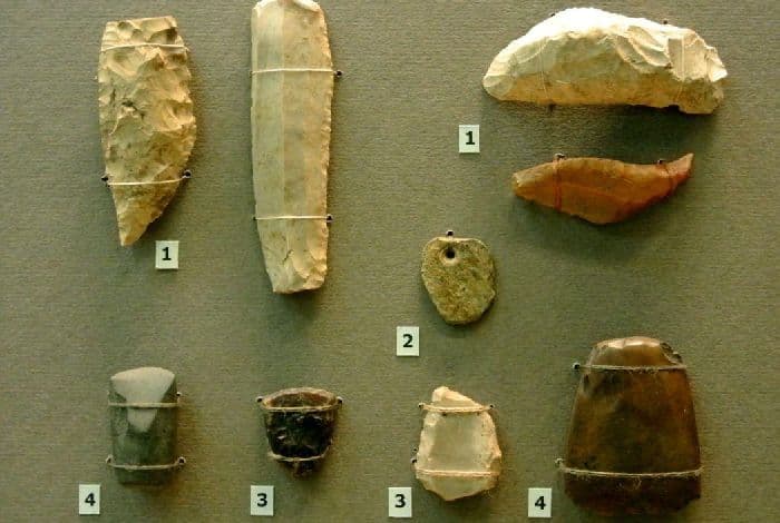 Орудия труда кроманьонцев – названия и описания (история, 5 класс)