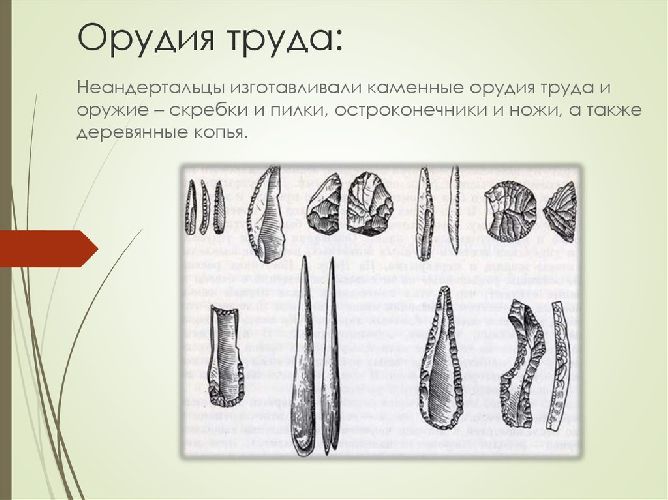 Орудия труда неандертальцев – названия с описанием