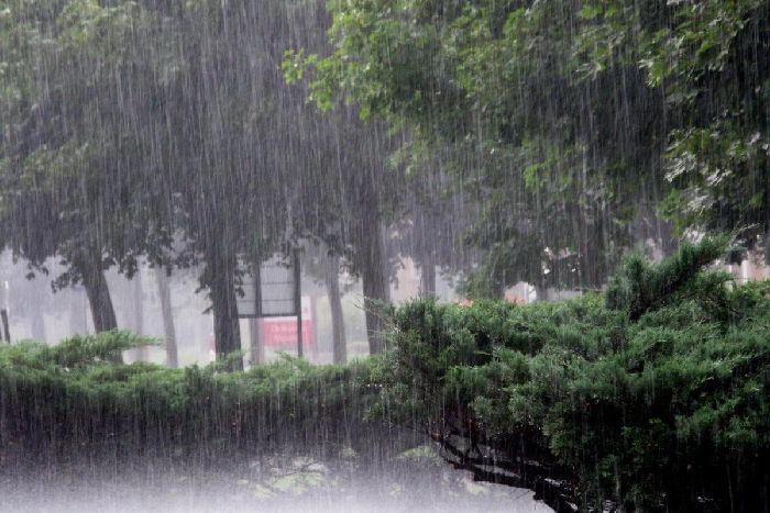 Осадкомер – что такое, определение, для чего нужен кратко (6 класс, география)