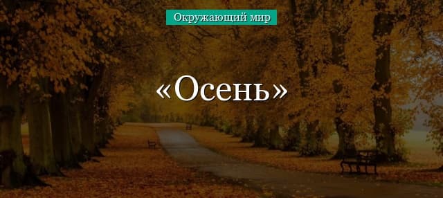 Осень (окружающий мир, 2 класс) – растения и деревья в природе