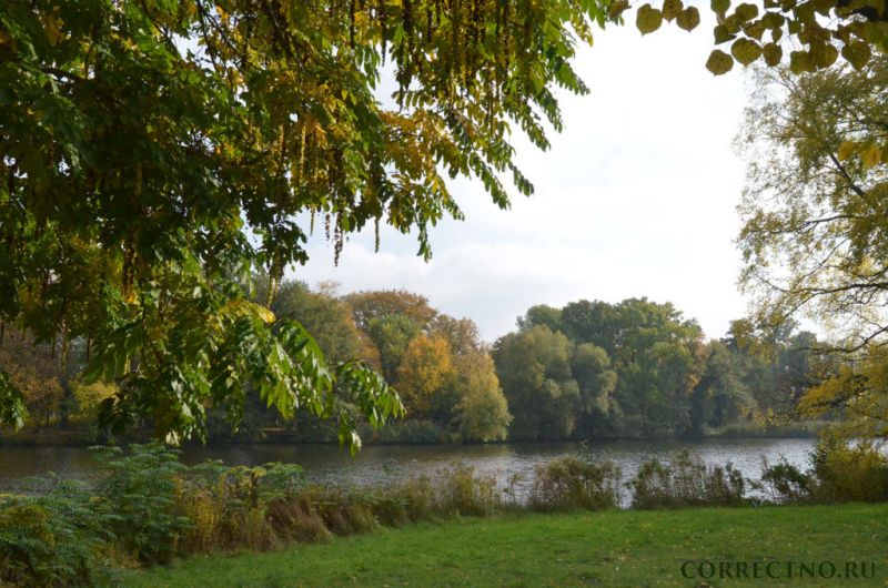 Осенний или осений: как правильно пишется слово?