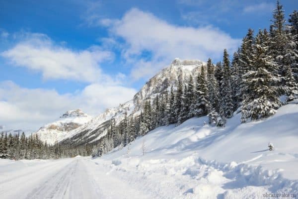 Основные природные зоны Канады