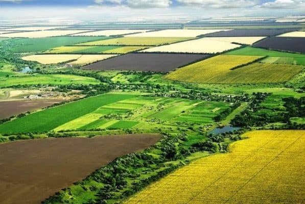 Основные природные зоны России с Севера на Юг, их расположение