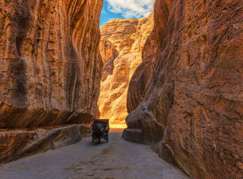 Основные термины, понятия и определения по географии для 5 класса