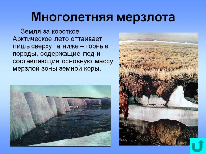 Основные термины, понятия и определения по географии для 7 класса