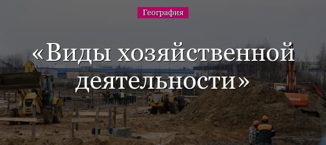 Основные виды хозяйственной деятельности