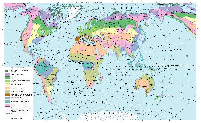 Особенности экваториальных лесов &ndash; климат, природные зоны, характеристики и примеры кратко (7 класс, география)