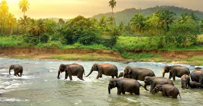 Островные страны мира – список со столицами государств