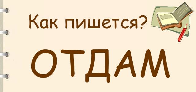 Отдам, оддам, атдам — как правильно пишется?