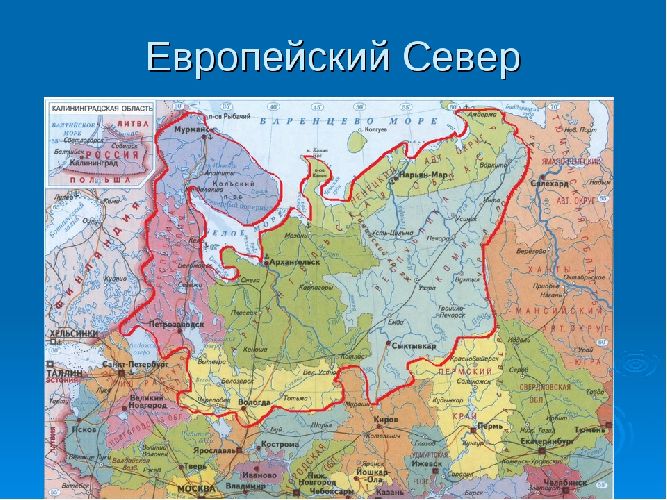 Отрасли специализации Европейского Севера – краткое описание в таблице (9 класс, география)