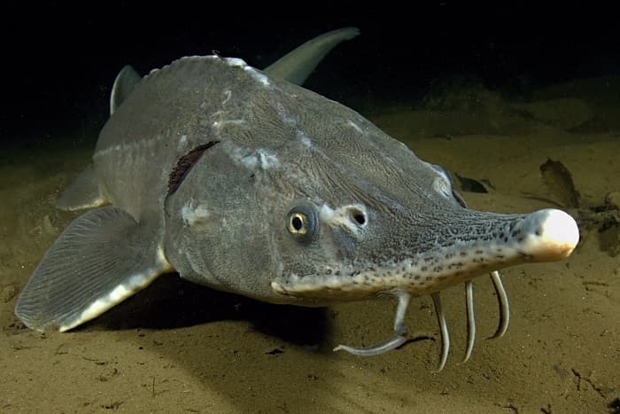 Озеро Байкал &mdash; общая характеристика и интересные факты