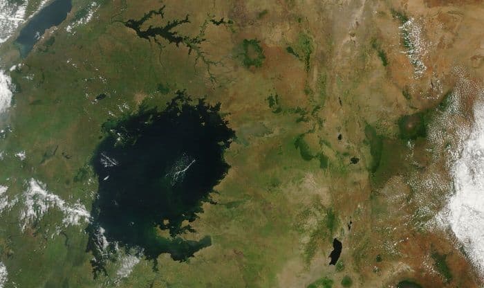 Озеро Виктория – описание, где находится на карте Африки
