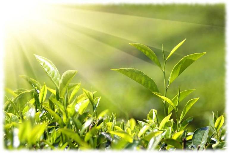 Озоновый слой — роль в атмосфере, как образуется и разрушается