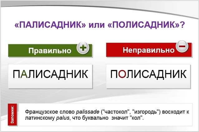 &laquo;ПАлисадник&raquo; или &laquo;пОлисадник&raquo;, как правильно писать?