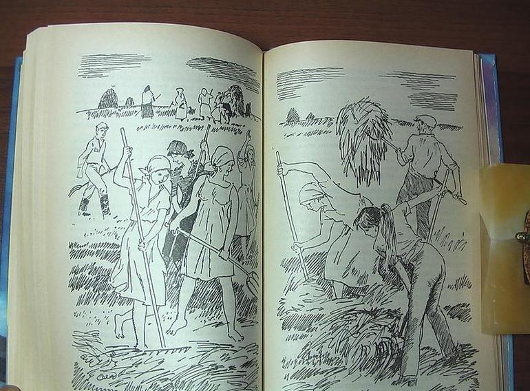 &laquo;Пелагея&raquo; &mdash; краткое содержание повести Ф. Абрамова