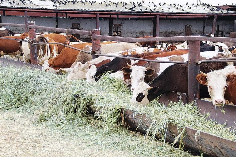 Перспективы и условия развития промышленности Северо-Кавказского экономического района
