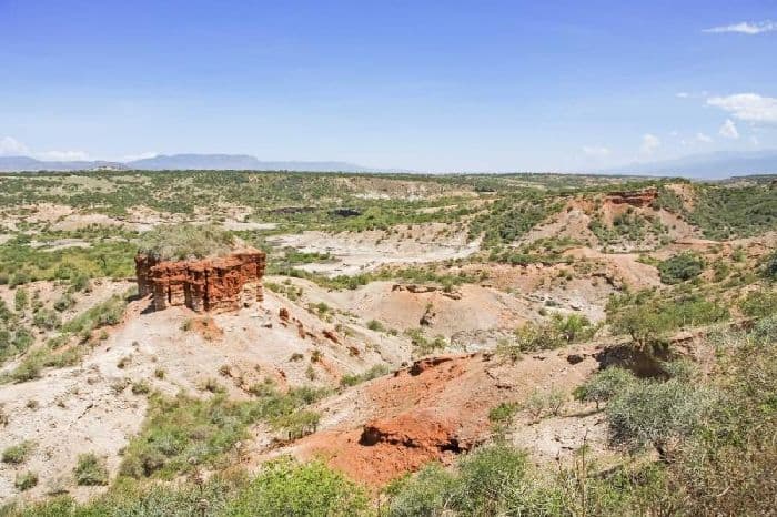Первые люди на Земле &ndash; где и когда появились