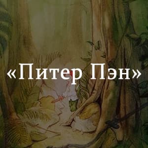 «Питер Пэн» краткое содержание сказки Барри – читать пересказ онлайн