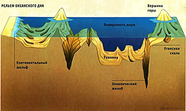 Площадь Мирового океана &ndash; какую часть поверхности Земли занимает, объем и средняя глубина