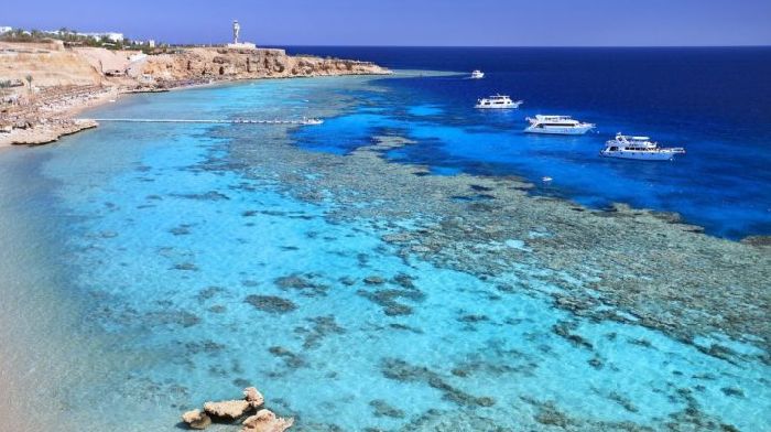 Почему море соленое &ndash; из-за чего соленой воды в море больше чем пресной кратко для детей