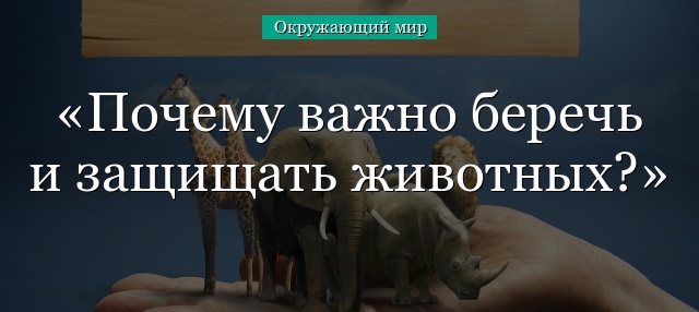 Почему важно беречь и защищать животных Земли – кратко для детей (4 класс, окружающий мир)