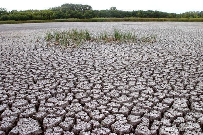 Почвы России &ndash; географическое положение, типы и разнообразие в таблице