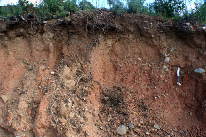 Почвы тундры – типы на территории России, свойства и характеристики кратко (6 класс, география)