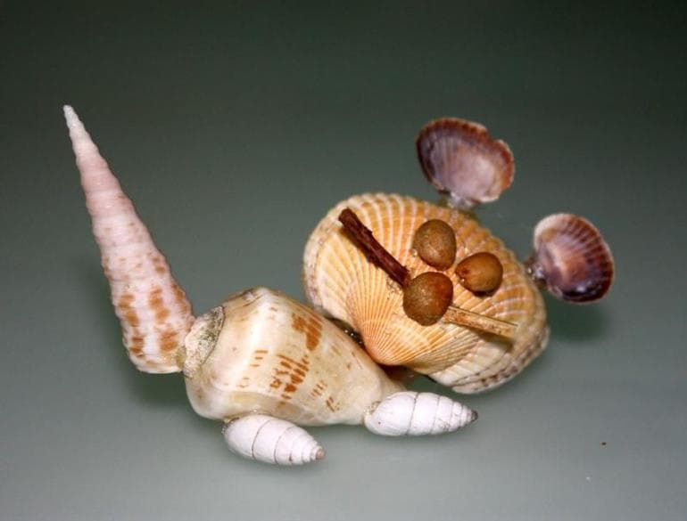 Поделки из природного материала для начальной школы