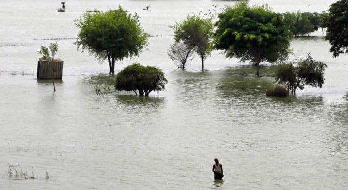 Пойма реки – что это за место, определение