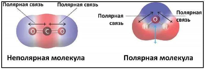 Полярные и неполярные молекулы — строение, свойства и примеры