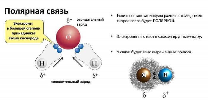 Полярные и неполярные молекулы — строение, свойства и примеры