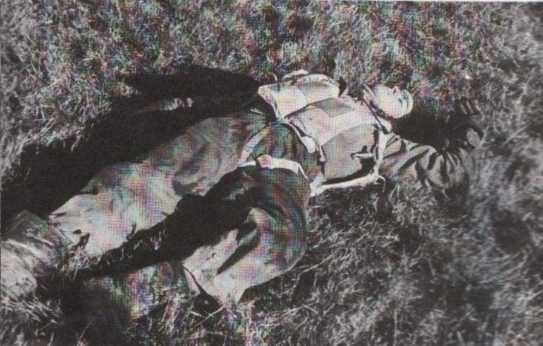 «Повелитель мух» — краткое содержание романа Уильяма Голдинга