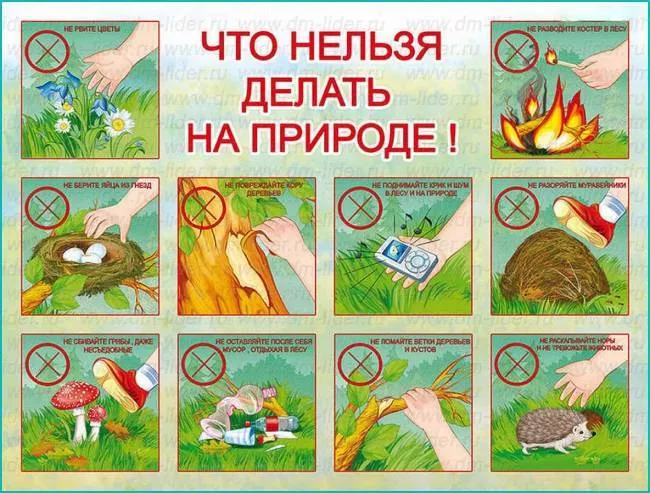 Правила безопасного поведения на отдыхе на природе