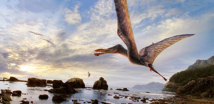 Пресмыкающиеся животные &ndash; какие животные относятся к группе, список, среда обитания