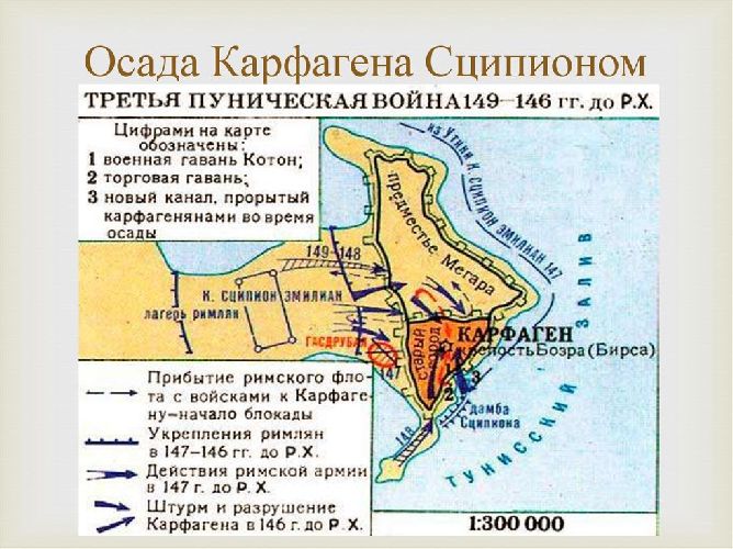Причины и итоги Пунических войн &ndash; основные последствия кратко (5 класс, история)