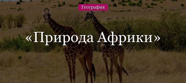Природа Африки – разнообразие и особенности