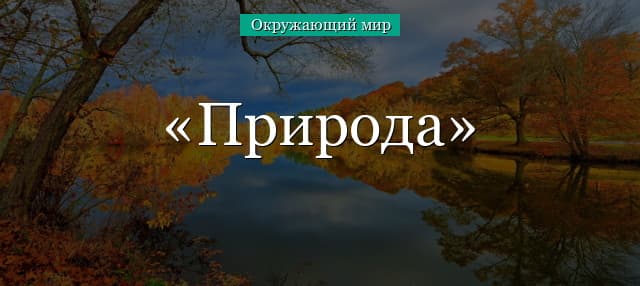 Природа и ее объекты (1 класс, окружающий мир)