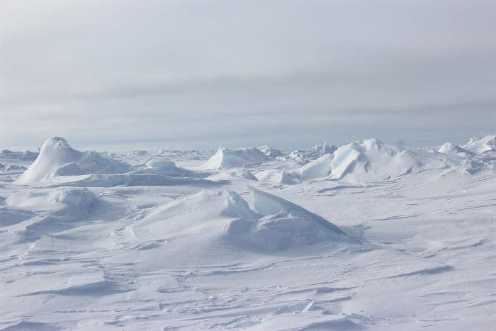 Природа России (тема окружающего мира, 4 класс)