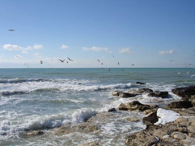 Природа России (тема окружающего мира, 4 класс)