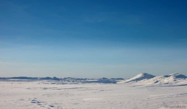Природная зона Арктических пустынь России &ndash; где расположена, план описания