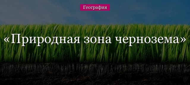Природная зона чернозема, для какой зоны характерны черноземные почвы