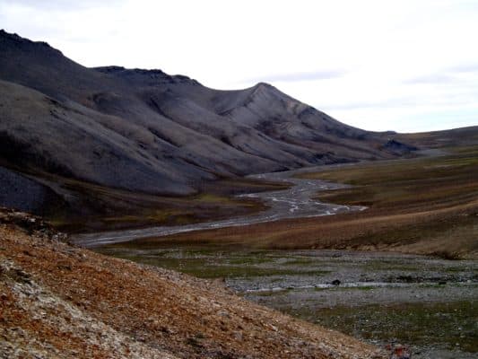 Природная зона острова Врангеля &ndash; основные особенности