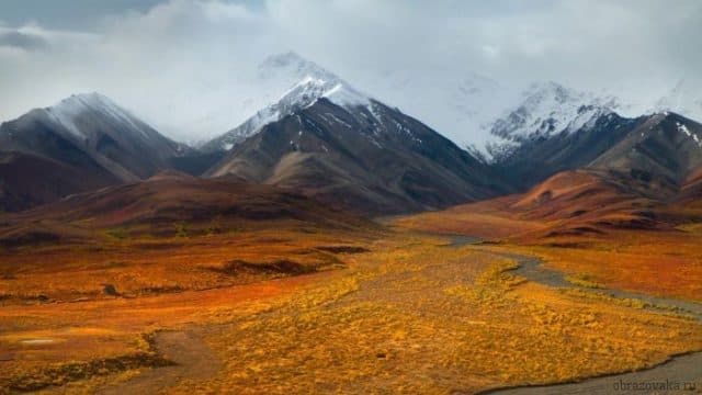 Природная зона России Тундра, план описания и харакетристика (почва, животные)