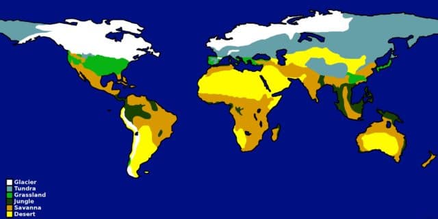 Природная зона саванн и редколесий &ndash; план описания и характеристика