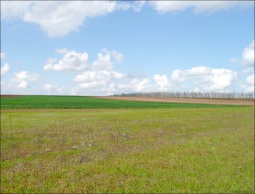 Природная зона Ставропольского края &ndash; в какой природной зоне расположен